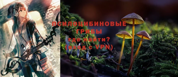 a pvp Белокуриха